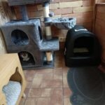 Pedro két odús, világos szürke macskabútor photo review