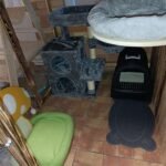 Pedro két odús, világos szürke macskabútor photo review