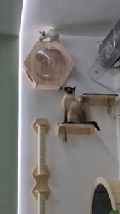 Fa macskakerék photo review