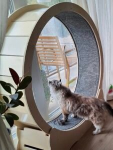 Fa macskakerék photo review