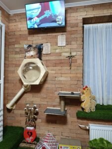 Falra szerelhető vidámpark photo review