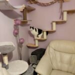 Falra szerelhető vidámpark photo review