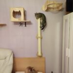 Falra szerelhető vidámpark photo review