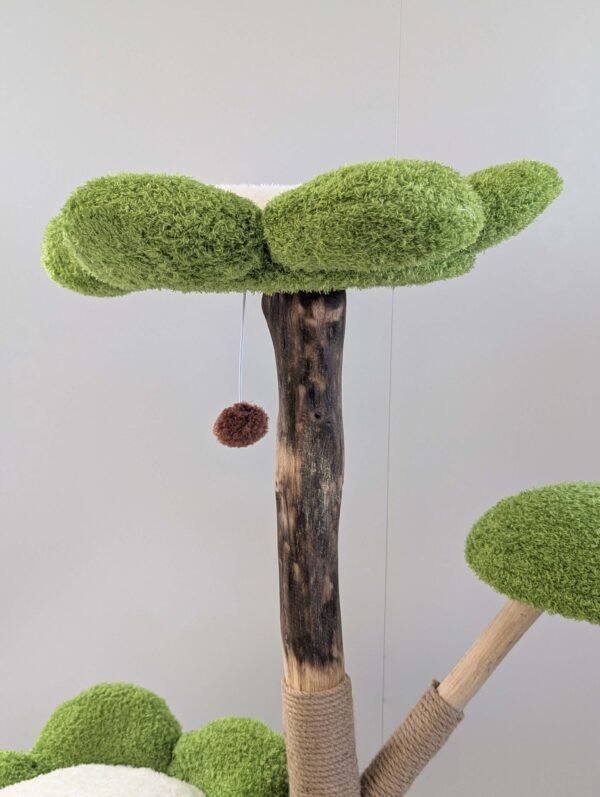 Camilo - Image 3